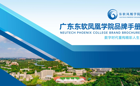 广东东软凤凰学院品牌手册