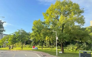 关于开展2026世界杯官方合作网站2024届毕业生培养质量调查评价的通知