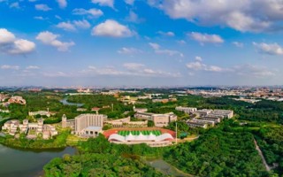 再突破，世界杯官网2025年省级教学成果奖喜获佳绩！